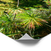 Waimea Canyon | Kauai, Hawaii Poster (Hoek)