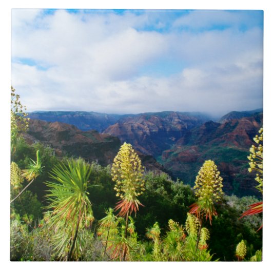 Waimea Canyon | Kauai, Hawaii Tegeltje (Voorkant)