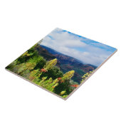 Waimea Canyon | Kauai, Hawaii Tegeltje (Zijkant)