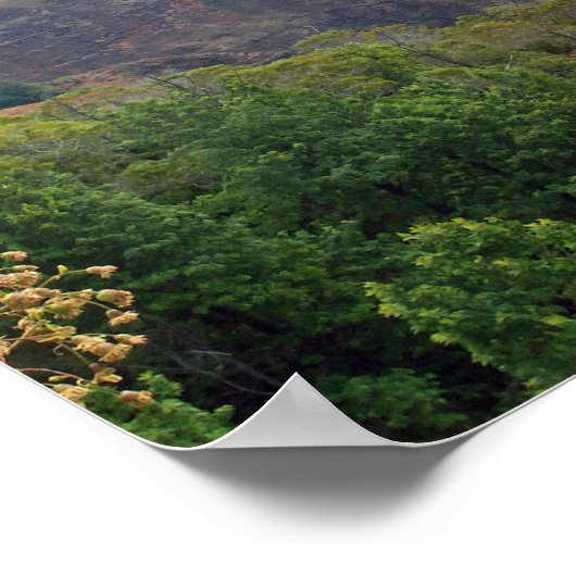 Waimea Canyon Poster (Hoek)