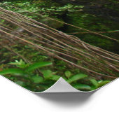 Waimea Herfsten, Hana, Maui, Hawaii Poster (Hoek)