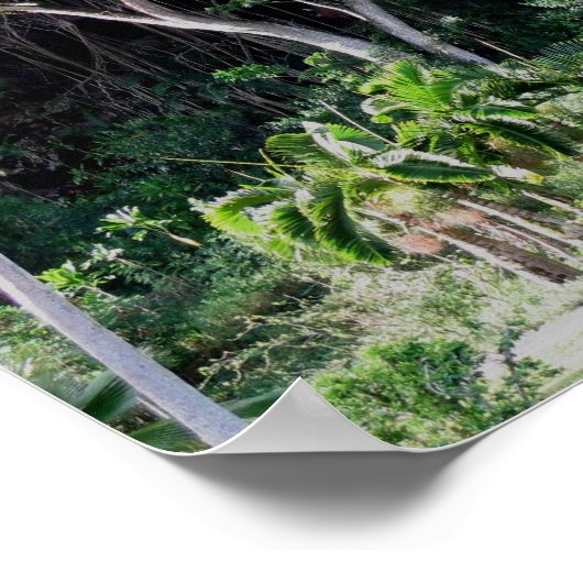 Waimea Herfsten Park Poster (Hoek)