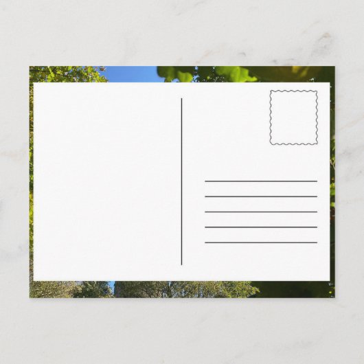 Wainhouse Tower Halifax briefkaart (Achterkant)