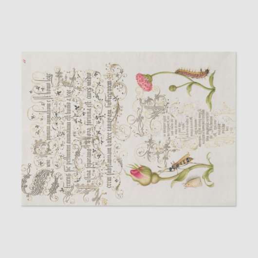 Wainscot Script met bloemen en snijdt Tissuepapier (Voorkant)