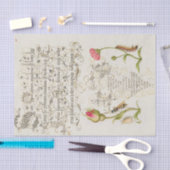 Wainscot Script met bloemen en snijdt Tissuepapier (Craft)