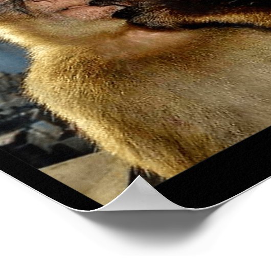 Wait I'm Goated Funny Thinking Monkey Meme Brainro Poster (Hoek)