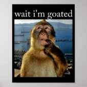 Wait I'm Goated Funny Thinking Monkey Meme Brainro Poster (Voorkant)