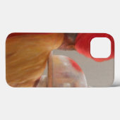 Waiter Rambagh Palace 2010 Case-Mate iPhone Case (Achterkant (horizontaal))
