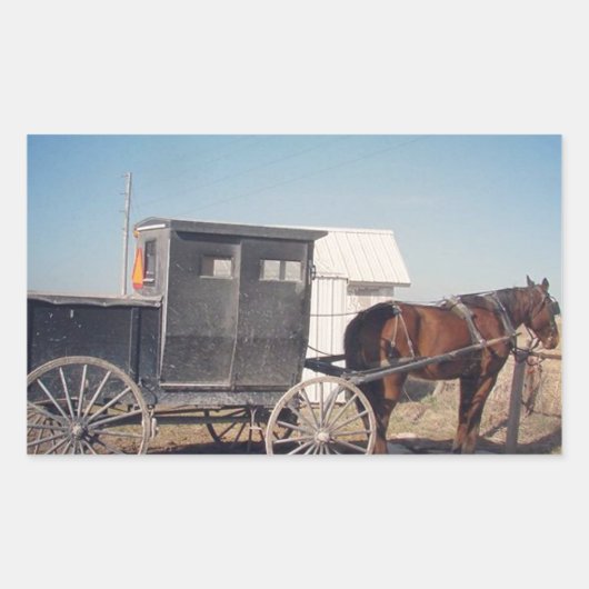 Waiting Amish Horse and Buggy Rechthoekige Sticker (Voorkant)