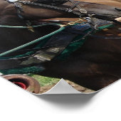 Waiting Amish Horse Poster (Hoek)