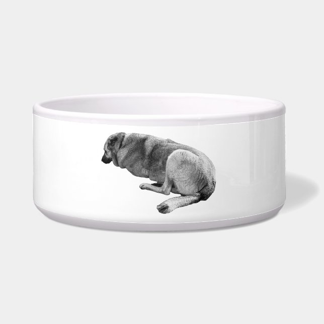 Waiting Patiently Voerbakje (Voorkant)