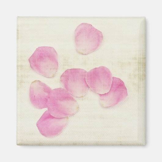 "Waiting" Roze Rozen Magneet (Voorkant)