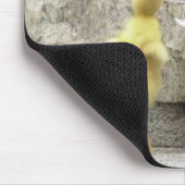 waituphoma muismat (Hoek)