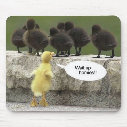 waituphoma muismat (Voorkant)