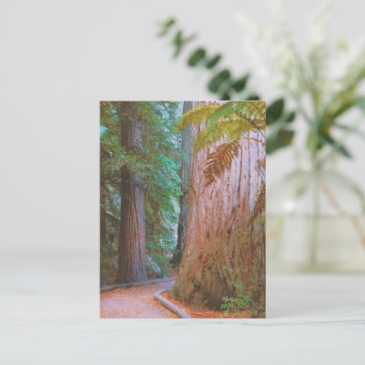 Wakawakareva Forest Briefkaart (Staand voorkant)