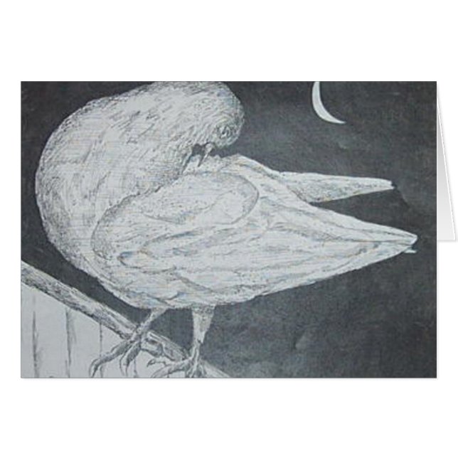 Wake-duif (Voorkant Horizontaal)