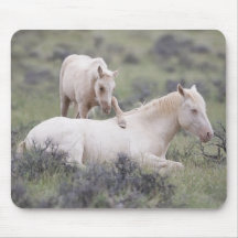 Wake Up Brother Mousepad