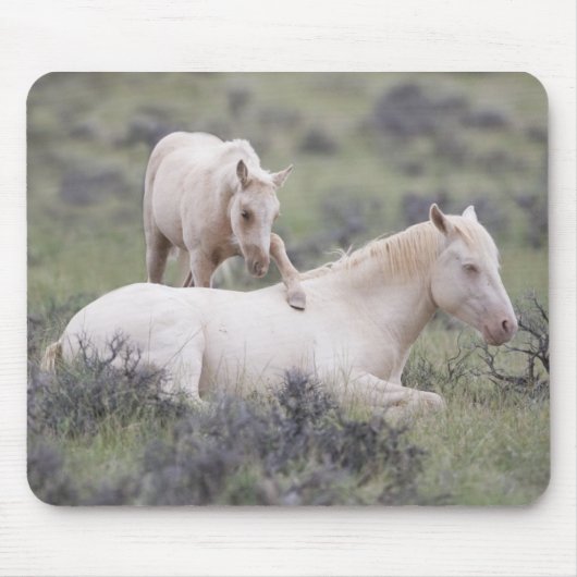 Wake Up Brother Mousepad Muismat (Voorkant)