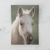 Wake Up Brother Wild Horse Wenskaart Kaart (Binnen)