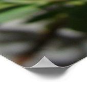 Waking Yellow Daisy Poster (Hoek)