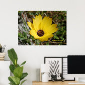 Waking Yellow Daisy Poster (Thuiskantoor)