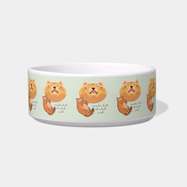 Wakker oranje kat voerbakje (Voorkant)