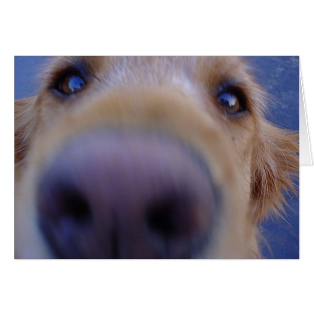 Wakker worden? (Voorkant Horizontaal)