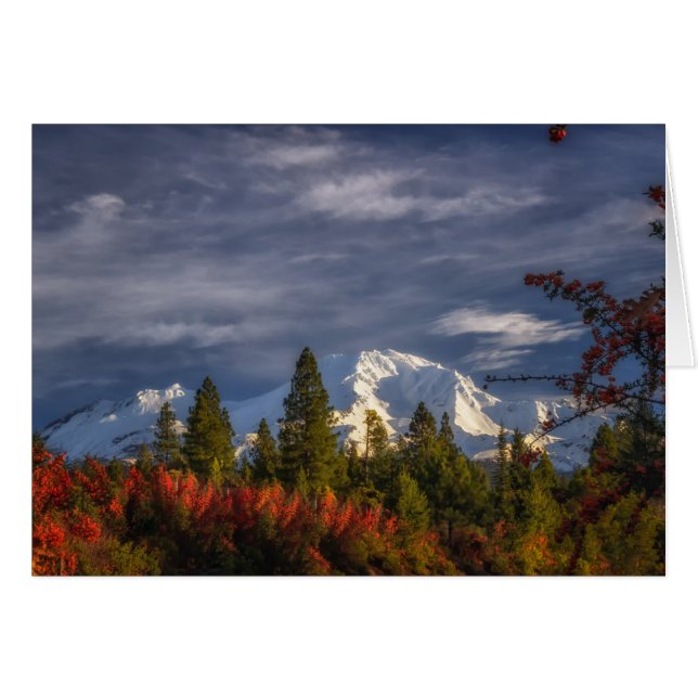 Wakker worden (Voorkant Horizontaal)