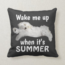 Wakker worden als het een zomerse Maltese hond is