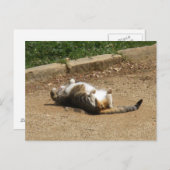 Wakker worden briefkaart (Voorkant / Achterkant)