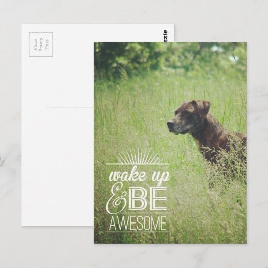 Wakker worden en Geweldige hond zijn Briefkaart (Voorkant / Achterkant)