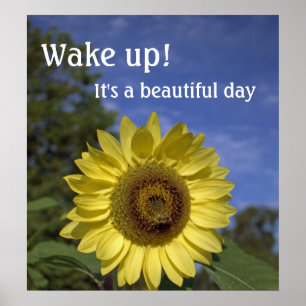 Wakker worden, het is een mooi poster van de dag.