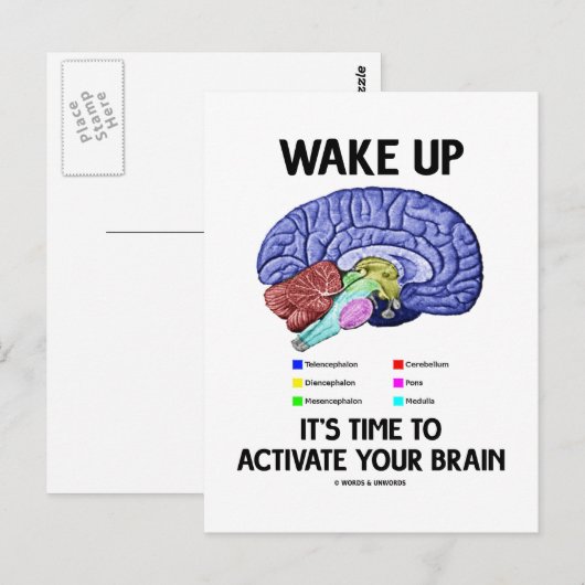 Wakker worden Het is tijd om je brein te activeren Briefkaart (Voorkant / Achterkant)