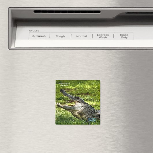 Wakoahatchee Wetlands Alligator Fridge Magnet (Insitu (Vaatwasser))