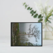 Wakulla County Florida Briefkaart (Staand voorkant)