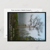 Wakulla County Florida Briefkaart (Voorkant / Achterkant)