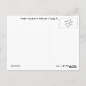 Wakulla County Florida Briefkaart (Achterkant)