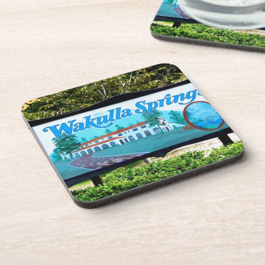 WAKULLA SPRINGS, FLORIDA ONDERZETTER (Linkerzijde)