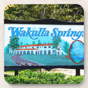 WAKULLA SPRINGS, FLORIDA ONDERZETTER