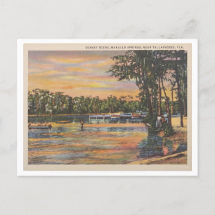 Wakulla Springs Florida zonsondergang op het wate Briefkaart