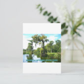WAKULLA SPRINGS STATE PARK - FLORIDA BRIEFKAART (Staand voorkant)