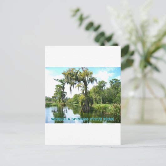 WAKULLA SPRINGS STATE PARK - FLORIDA BRIEFKAART (Staand voorkant)