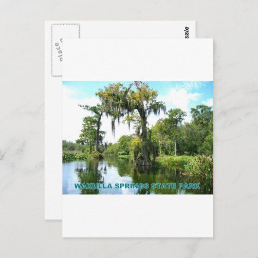 WAKULLA SPRINGS STATE PARK - FLORIDA BRIEFKAART (Voorkant / Achterkant)