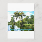 WAKULLA SPRINGS STATE PARK - FLORIDA BRIEFKAART (Voorkant)