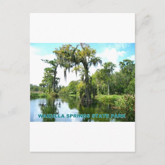WAKULLA SPRINGS STATE PARK - FLORIDA BRIEFKAART (Voorkant)