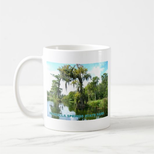 WAKULLA SPRINGS STATE PARK - FLORIDA KOFFIEMOK (Links)