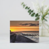 Walcott promenade zonsondergang briefkaart (Staand voorkant)