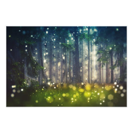 Wald, Bäume auf Waldlichtung, Dämmerung Foto Afdruk