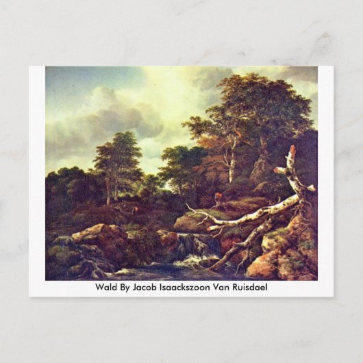 Wald by Jacob Isaackszoon Van Ruisdael Briefkaart (Voorkant)
