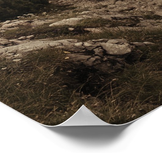 Wald like a King - Gorilla vs Man - Motivatie Poster (Hoek)